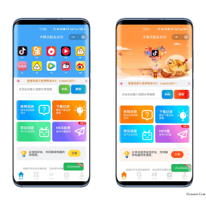 最新去水印小程序系统 前端+后端全套源码 多套模版 免授权